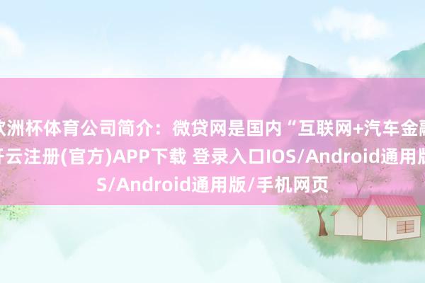 欧洲杯体育公司简介：微贷网是国内“互联网+汽车金融”的先驱-开云注册(官方)APP下载 登录入口IOS/Android通用版/手机网页