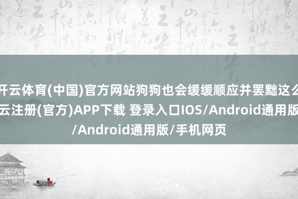 开云体育(中国)官方网站狗狗也会缓缓顺应并罢黜这么的节律-开云注册(官方)APP下载 登录入口IOS/Android通用版/手机网页