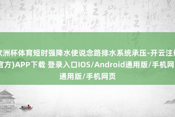 欧洲杯体育短时强降水使说念路排水系统承压-开云注册(官方)APP下载 登录入口IOS/Android通用版/手机网页