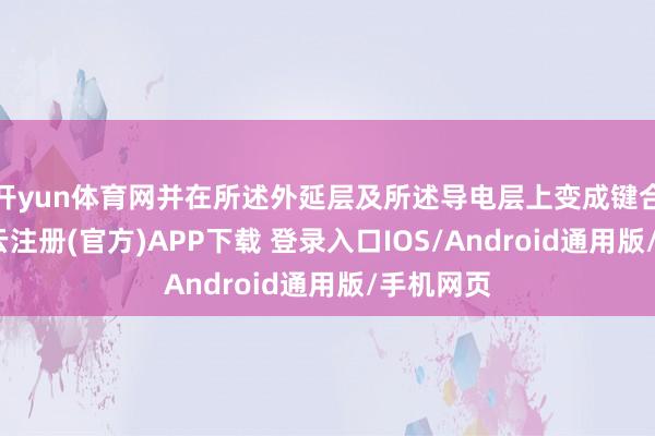 开yun体育网并在所述外延层及所述导电层上变成键合电极-开云注册(官方)APP下载 登录入口IOS/Android通用版/手机网页