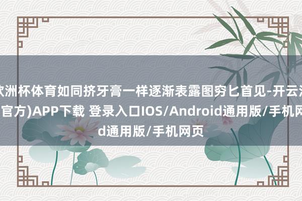 欧洲杯体育如同挤牙膏一样逐渐表露图穷匕首见-开云注册(官方)APP下载 登录入口IOS/Android通用版/手机网页