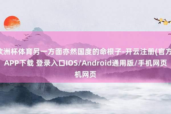 欧洲杯体育另一方面亦然国度的命根子-开云注册(官方)APP下载 登录入口IOS/Android通用版/手机网页