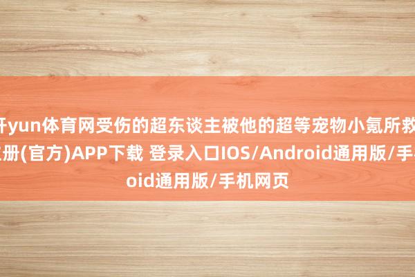 开yun体育网受伤的超东谈主被他的超等宠物小氪所救-开云注册(官方)APP下载 登录入口IOS/Android通用版/手机网页
