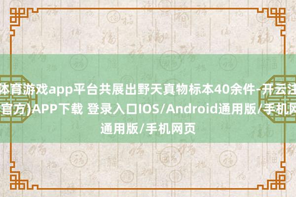 体育游戏app平台共展出野天真物标本40余件-开云注册(官方)APP下载 登录入口IOS/Android通用版/手机网页