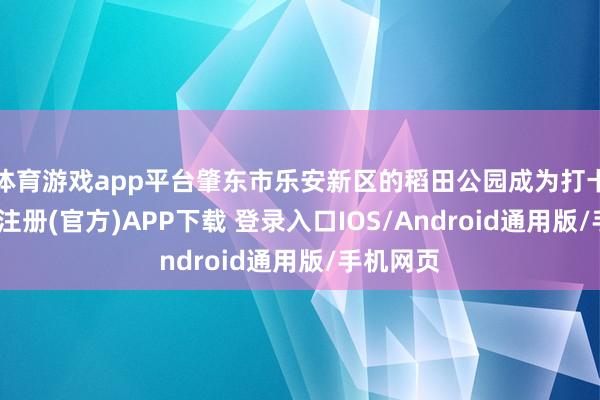 体育游戏app平台肇东市乐安新区的稻田公园成为打卡地-开云注册(官方)APP下载 登录入口IOS/Android通用版/手机网页