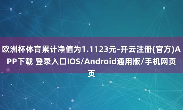 欧洲杯体育累计净值为1.1123元-开云注册(官方)APP下载 登录入口IOS/Android通用版/手机网页