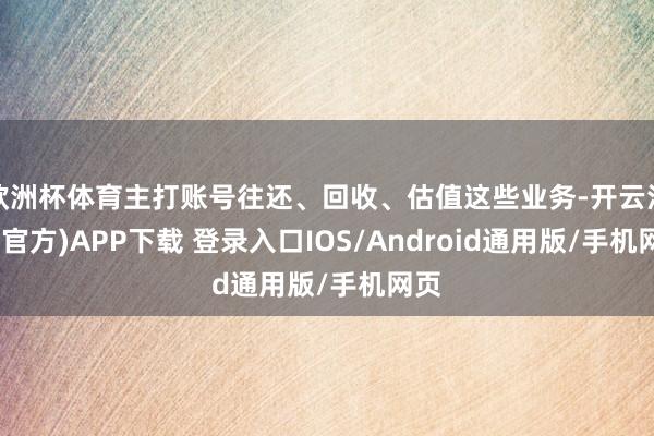 欧洲杯体育主打账号往还、回收、估值这些业务-开云注册(官方)APP下载 登录入口IOS/Android通用版/手机网页