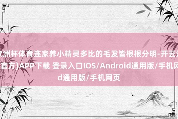 欧洲杯体育连家养小精灵多比的毛发皆根根分明-开云注册(官方)APP下载 登录入口IOS/Android通用版/手机网页