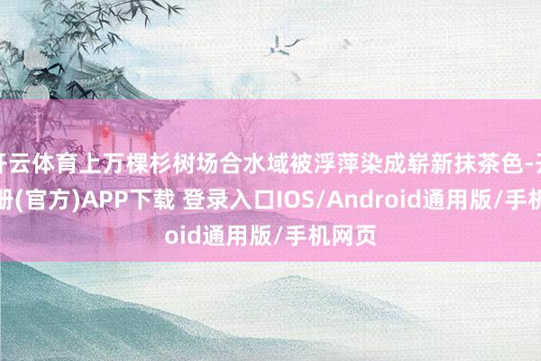 开云体育上万棵杉树场合水域被浮萍染成崭新抹茶色-开云注册(官方)APP下载 登录入口IOS/Android通用版/手机网页